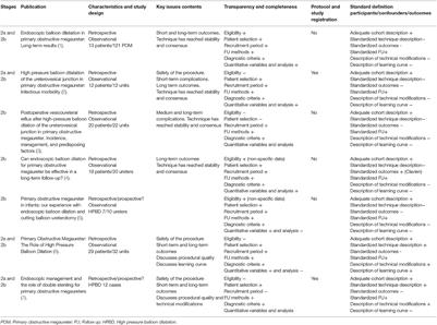 Management of Primary Obstructive Megaureter by Endoscopic High-Pressure Balloon Dilatation. IDEAL Framework Model as a New Tool for Systematic Review